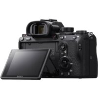 Беззеркальный фотоаппарат Sony Alpha a7R III Body - Превью изображения №8 — Интернет-магазин Your Sale