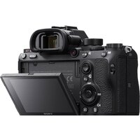 Беззеркальный фотоаппарат Sony Alpha a7R III Body - Превью изображения №9 — Интернет-магазин Your Sale