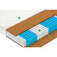 Vegas Focus (5-Zone) 80x186 Image #2