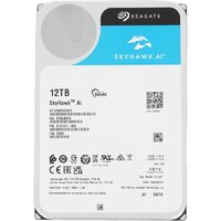 Seagate SkyHawk AI 12TB ST12000VE003