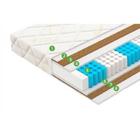 Vegas Trend 140x190 Image #3