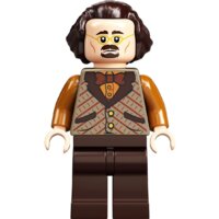 LEGO Harry Potter 75978 Косой переулок Image #13