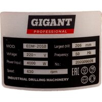 Сверлильный станок Gigant EDM-205B - Превью изображения №15 — Интернет-магазин Your Sale