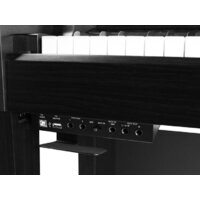 Medeli DP650K (черный) Image #6