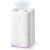 Concept ZV2010 Image #2