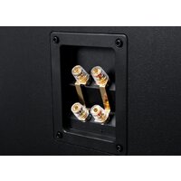 Emotiva Airmotiv C1+ Image #5