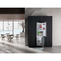 Холодильник Miele KFN 7744 C 125 Gala Ed - Превью изображения №2 — Интернет-магазин Your Sale