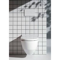 Унитаз подвесной Laufen Cleanet Navia Rimless 8206017570001 - Превью изображения №11 — Интернет-магазин Your Sale