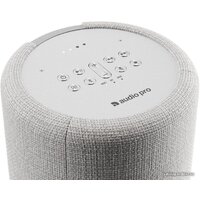 Audio Pro G10 (светло-серый) Image #3