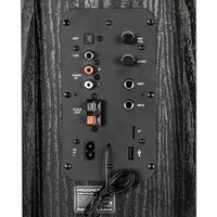 Акустика Dialog AP-2500 (черный) - Превью изображения №8 — Интернет-магазин Your Sale