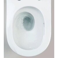 Roxen Vortex в комплекте с инсталляцией StounFix Dual Fresh 6 в 1 968489 (кнопка: сатин) Image #11