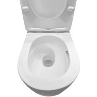 Roxen Vortex в комплекте с инсталляцией StounFix Dual Fresh 6 в 1 968489 (кнопка: сатин) Image #6