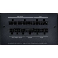 SilverStone DA750R Gold SST-DA750R-GMA Image #8