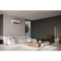 LG Dualcool Deluxe Pro H09S1D Image #11