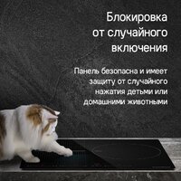 MAUNFELD CVI593SFBK Inverter Image #21