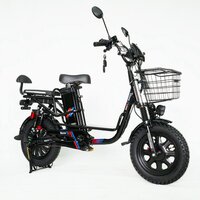 Электровелосипед Smart Balance Master 2025 - Превью изображения №8 — Интернет-магазин Your Sale