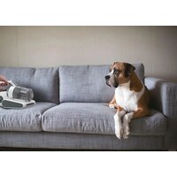 Пылесос для удаления пылевых клещей Hoover HMC510UV 011 - Превью изображения №10 — Интернет-магазин Your Sale
