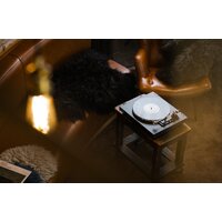 Rekkord Audio F300 (AT91, коричневый) Image #2