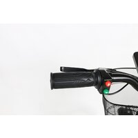 SameBike Е-Alfa New SB-E-ALFA500-48/13 (черный) Image #13