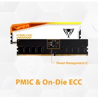 Оперативная память Patriot Viper Elite 5 RGB TUF Gaming Alliance 2x24ГБ DDR5 6000 МГц PVER548G60C36KT - Превью изображения №11 — Интернет-магазин Your Sale