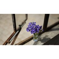 Объектив Sony FE 50mm F1.8 [SEL50F18F] - Превью изображения №4 — Интернет-магазин Your Sale