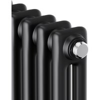 Royal Thermo Insignia C2180 - 04 секций RAL9005m Image #3