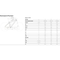 Stark Router 27.2 HD M 2025 (ежевичный матовый/белый призрак) Image #2