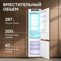 Холодильник Zigmund & Shtain BR 25 X - Превью изображения №3 — Интернет-магазин Your Sale