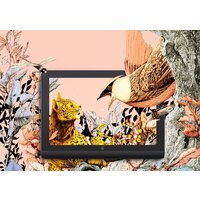 Графический монитор XP-Pen Artist Pro 16 MD160QH (2-ое поколение, с кабелем AD41) - Превью изображения №5 — Интернет-магазин Your Sale