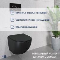 Унитаз подвесной Lauter Sulzdorf (черный с микролифтом) - Превью изображения №5 — Интернет-магазин Your Sale