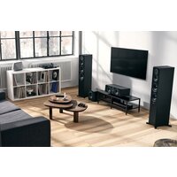 Dynaudio Emit 25С (черный) Image #9