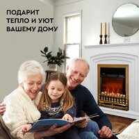 Planta PFP-FS400 (золотистый) Image #7