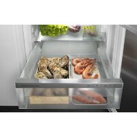 Однокамерный холодильник Liebherr IRBd 5170 Peak BioFresh - Превью изображения №7 — Интернет-магазин Your Sale