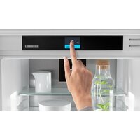 Однокамерный холодильник Liebherr IRBd 5170 Peak BioFresh - Превью изображения №12 — Интернет-магазин Your Sale