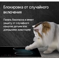 Варочная панель MAUNFELD CVI594STBK - Превью изображения №15 — Интернет-магазин Your Sale