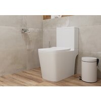 Lauter W09 P-TRAP с жестким сиденьем и микролифтом 21900002 (горизонтальный выпуск) Image #6