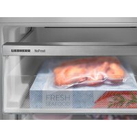 Холодильник Liebherr ICBNSd 5623 Plus BioFresh NoFrost - Превью изображения №18 — Интернет-магазин Your Sale