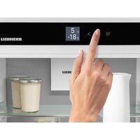 Холодильник Liebherr ICBNSd 5623 Plus BioFresh NoFrost - Превью изображения №4 — Интернет-магазин Your Sale