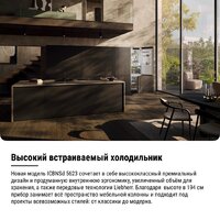 Холодильник Liebherr ICBNSd 5623 Plus BioFresh NoFrost - Превью изображения №22 — Интернет-магазин Your Sale