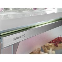 Холодильник Liebherr ICBNSd 5623 Plus BioFresh NoFrost - Превью изображения №14 — Интернет-магазин Your Sale