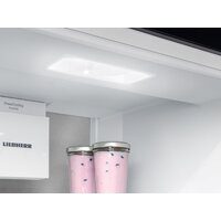 Холодильник Liebherr ICBNSd 5623 Plus BioFresh NoFrost - Превью изображения №5 — Интернет-магазин Your Sale
