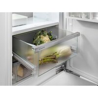 Холодильник Liebherr ICBNSd 5623 Plus BioFresh NoFrost - Превью изображения №15 — Интернет-магазин Your Sale