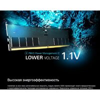 Silicon-Power 16ГБ DDR5 5600 МГц SP016GBLVU560F02 Image #3