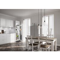Однокамерный холодильник Liebherr IRBdi 5181 Peak BioFresh - Превью изображения №4 — Интернет-магазин Your Sale