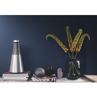 Bang & Olufsen Beosound 2 (серебристый) Image #4
