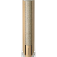 Bang & Olufsen Beosound Emerge (золотистый/светлый дуб) Image #11