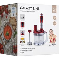 Погружной блендер Galaxy Line GL2106 - Превью изображения №9 — Интернет-магазин Your Sale