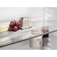 Холодильник Liebherr ICNSd 5603 Pure NoFrost - Превью изображения №11 — Интернет-магазин Your Sale