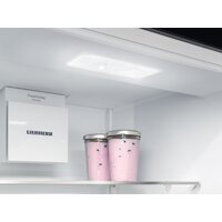 Холодильник Liebherr ICNSd 5603 Pure NoFrost - Превью изображения №5 — Интернет-магазин Your Sale