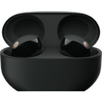 Sony WF-1000XM5 (черный)